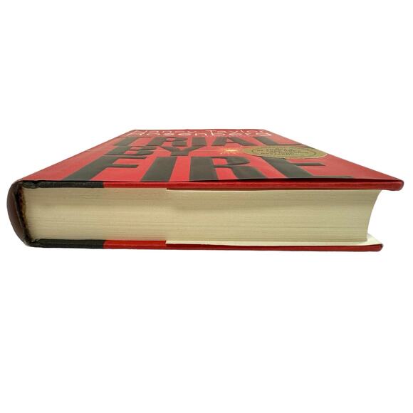 Trial by Fire by Nancy Taylor (1996, Hardcover) (First Printing) - Picture 4 of 8